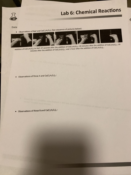 Lab 6 Chemical Reactions Experiment Battle of the