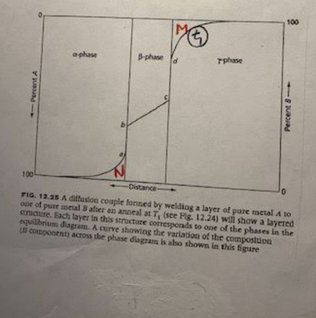 Solved 시 3. The phase diagram in Fig. 2 has a terminal phase | Chegg.com