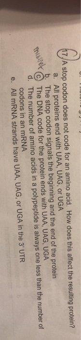Solved correct answer is D but can you explain why the | Chegg.com