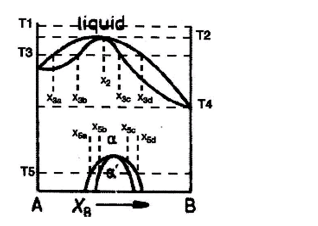 For the Phase diagram shown, draw free energy curves | Chegg.com