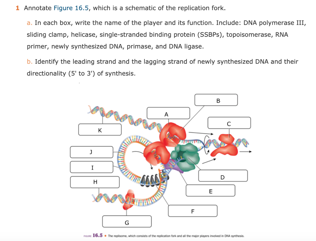 Solved 1 Annotate Figure 16.5, which is a schematic of the | Chegg.com