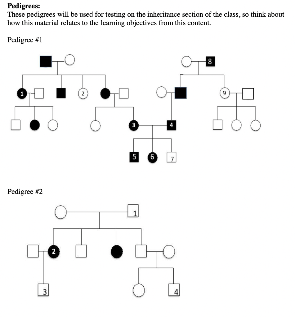 Solved In the following human pedigrees, the filled symbols | Chegg.com