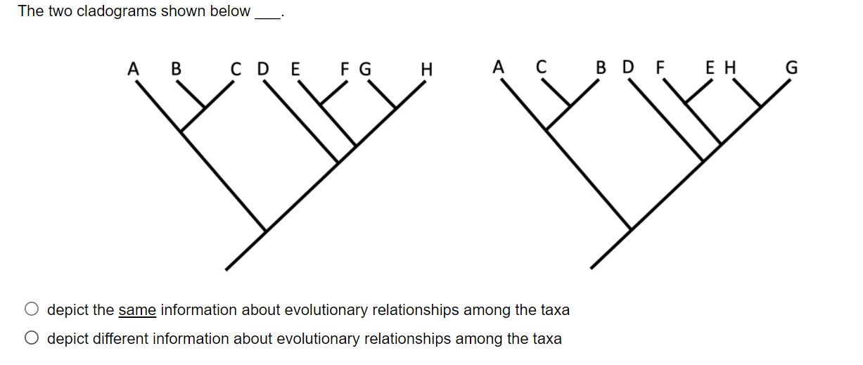 Solved The Two Cladograms Shown Below A C D E F G B D F EH G | Chegg.com