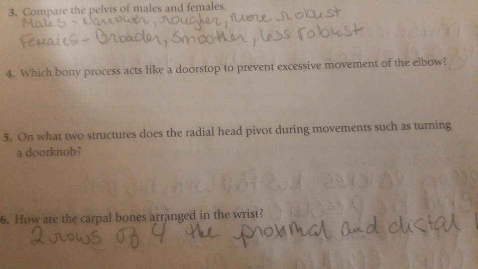 Solved 3. Compare the pelvis of males and females. 4. Which | Chegg.com