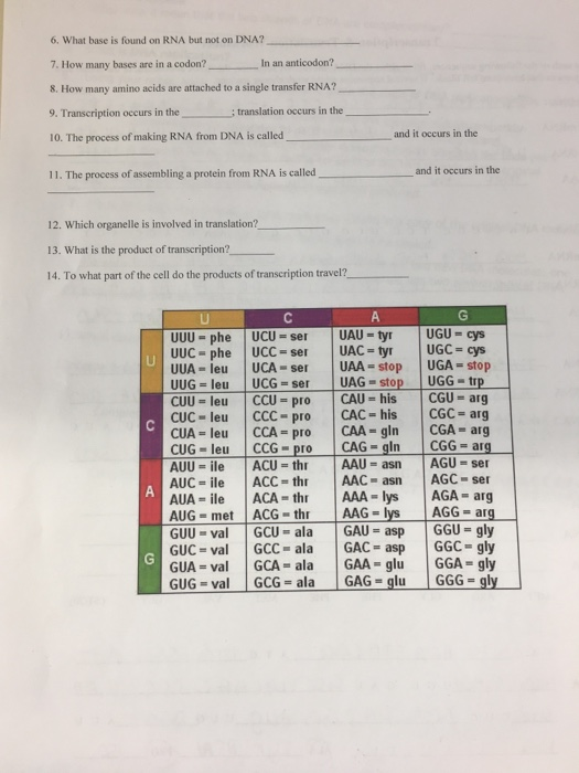Solved 6. What base is found on RNA but not on DNA? 7. How