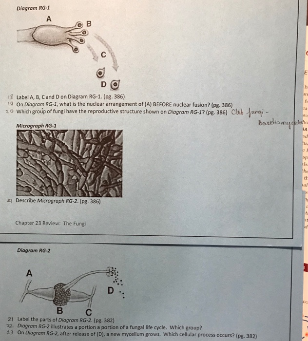 Solved Please help me these question in each diagram please. | Chegg.com