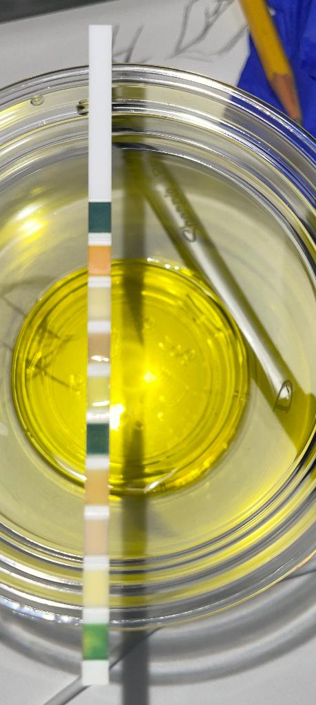 Solved Data Table: Simulated Urine Samples ( A, B, C, | Chegg.com