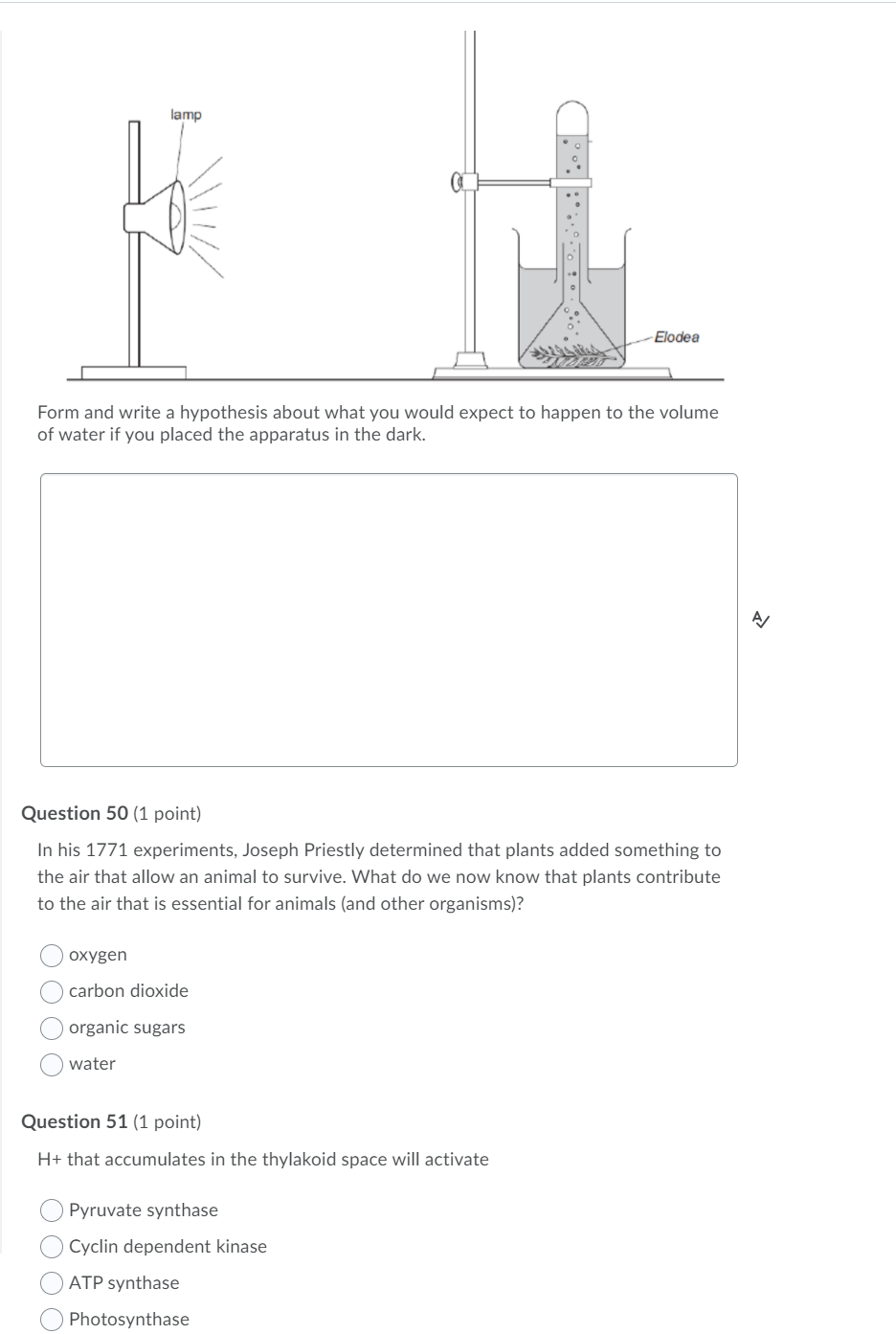 Solved lamp Elodea Form and write a hypothesis about what | Chegg.com