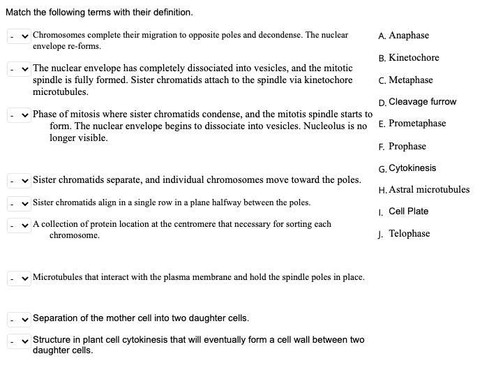 Solved Match the following terms with their definition. | Chegg.com