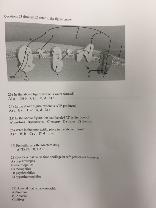 Solved Questions 23 through 26 refer to the figure below: b. | Chegg.com