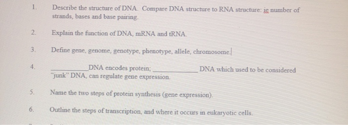 Solved 1. Describe the structure of DNA Compare DNA | Chegg.com