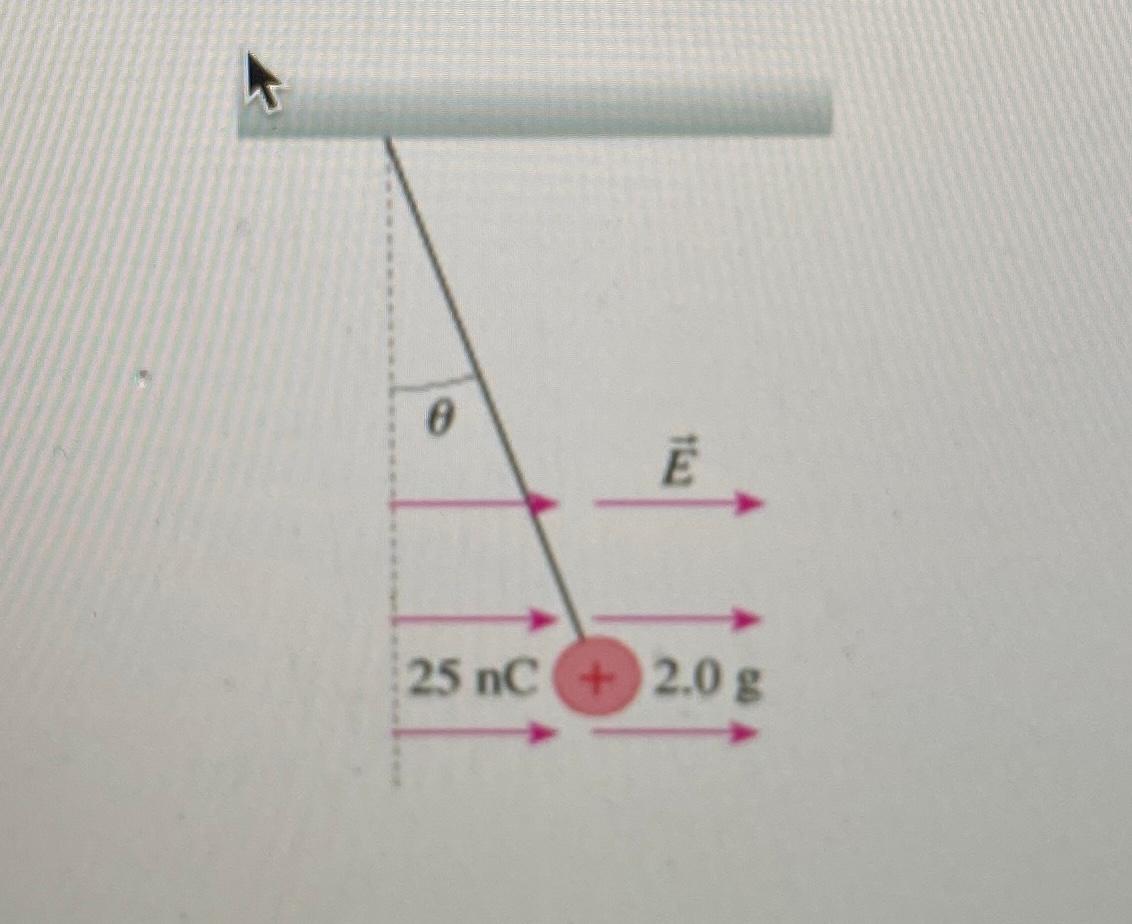 Solved Draw A Free Body Diagram Showing All Forces Acting Chegg Com