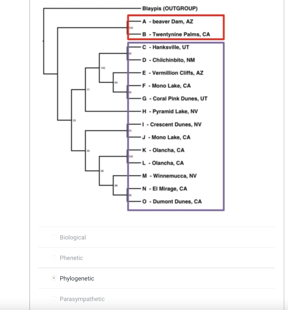 species classification tree