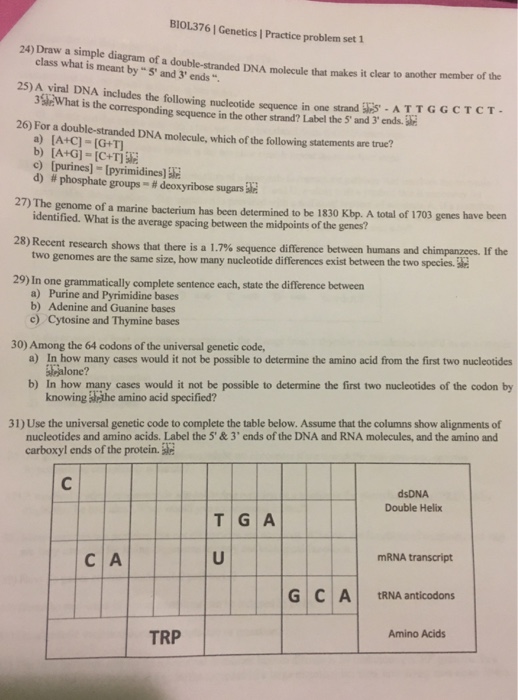 enrichment activity genetics problem solving chapter 26 answers