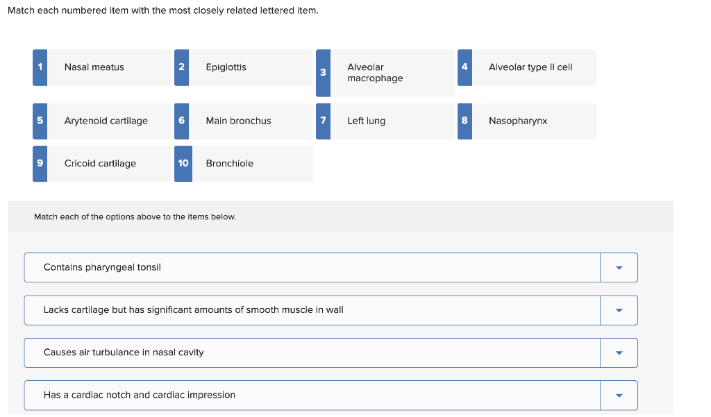 Solved Match each numbered item with the most closely