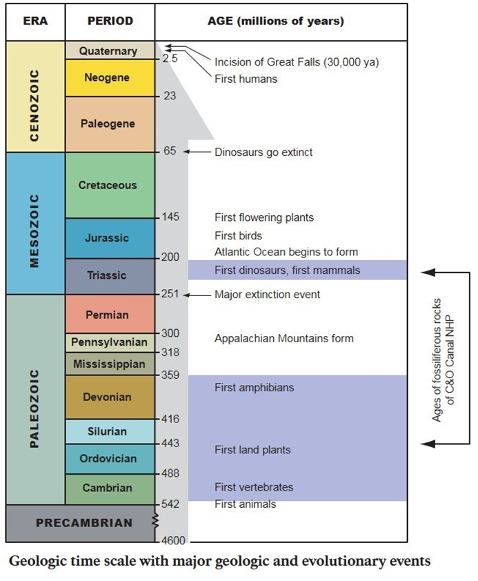 Solved Now we will calculate ages of igneous rocks. Below is | Chegg.com