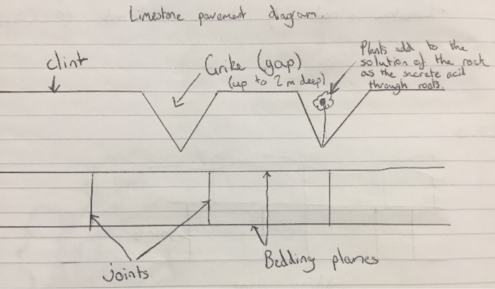 Grikes And Clints Diagram Official Shop | www.micoope.com.gt