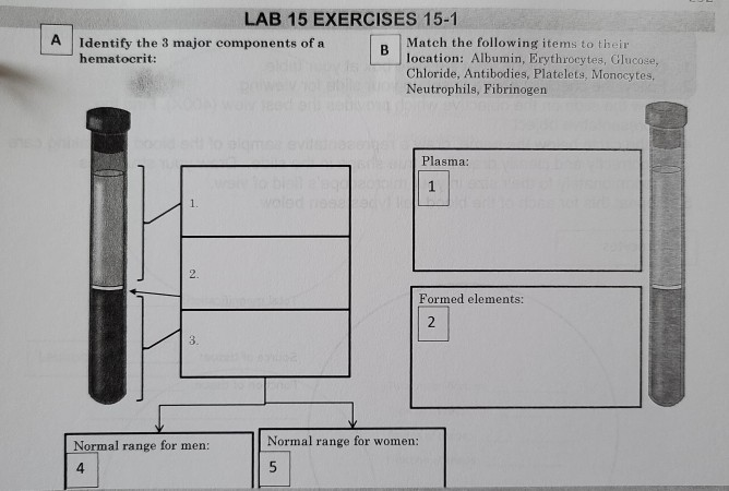 solved-lab-15-exercises-15-1-identify-the-3-major-components-chegg