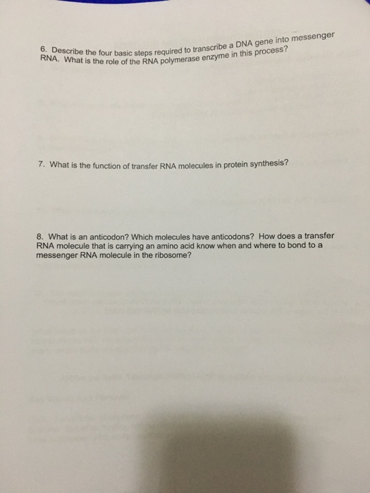 Solved 1. What is the basic structure of all proteins? 2. at | Chegg.com