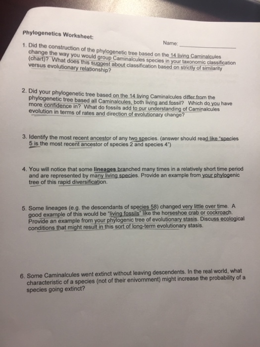 Phylogenetics Worksheet: Name: 1. Did the | Chegg.com