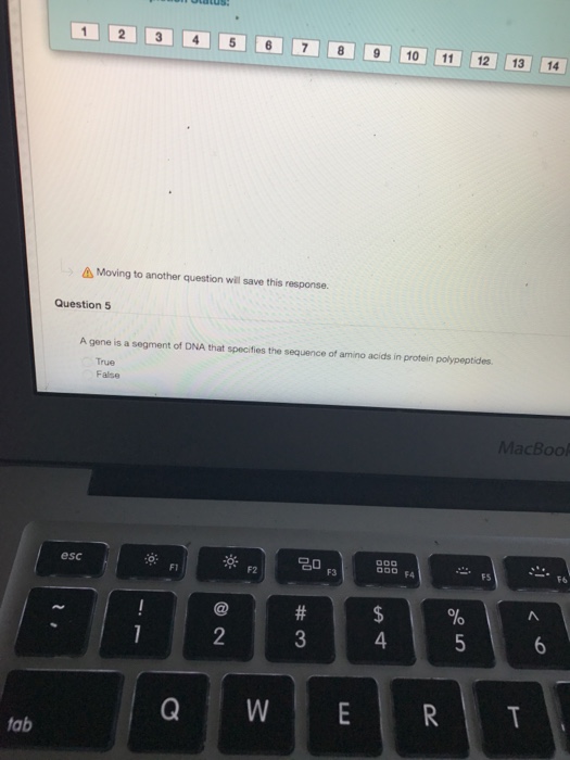 Solved A gene is a segment of DNA that specifies the | Chegg.com