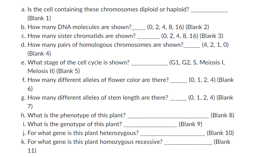 a. Is the cell containing these chromosomes diploid or haploid?
(Blank 1)
b. How many DNA molecules are shown? \( \quad(0,2,4