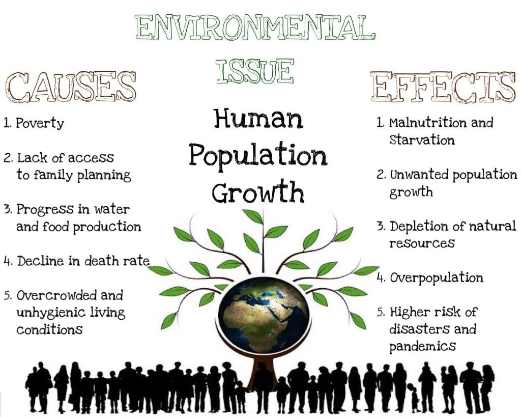 consequences of human overpopulation