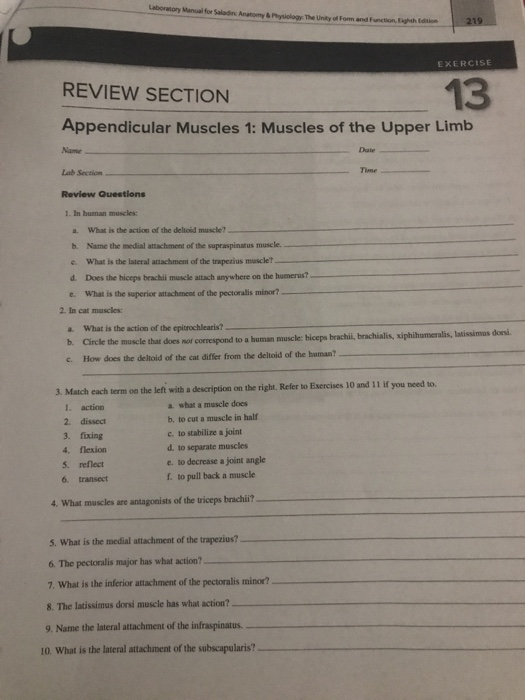 Solved Laboretony Manual For Saladin Anatomy&Physiology T...