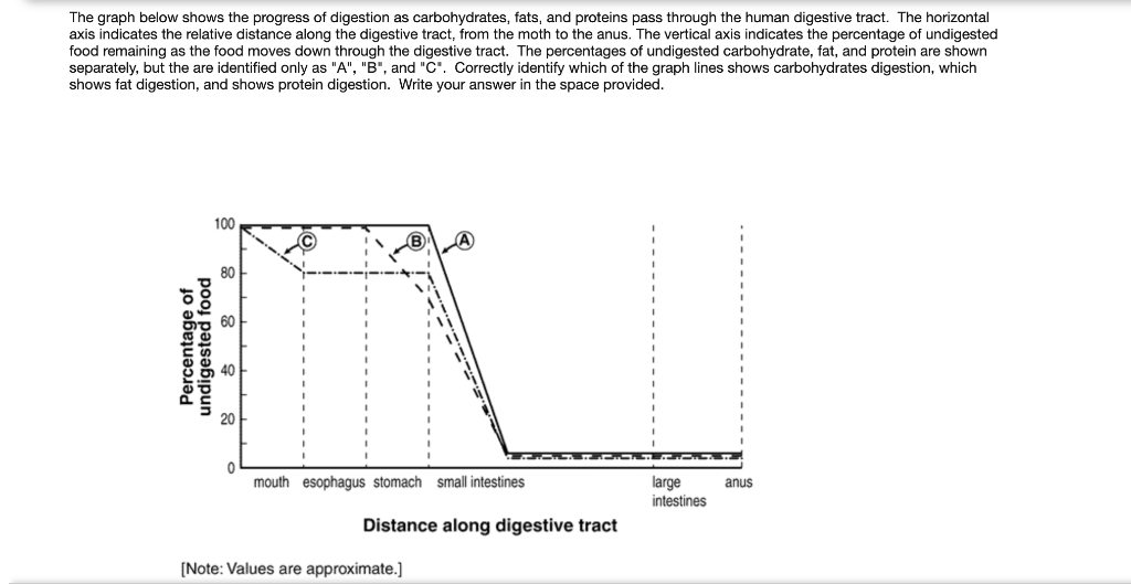 solved-the-graph-below-shows-the-progress-of-digestion-as-chegg