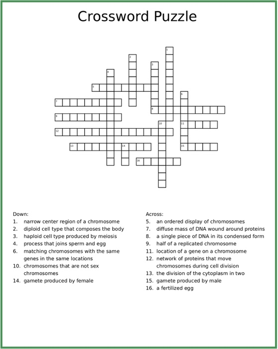 solved-crossword-puzzle-down-1-narrow-center-region-of-a-chegg