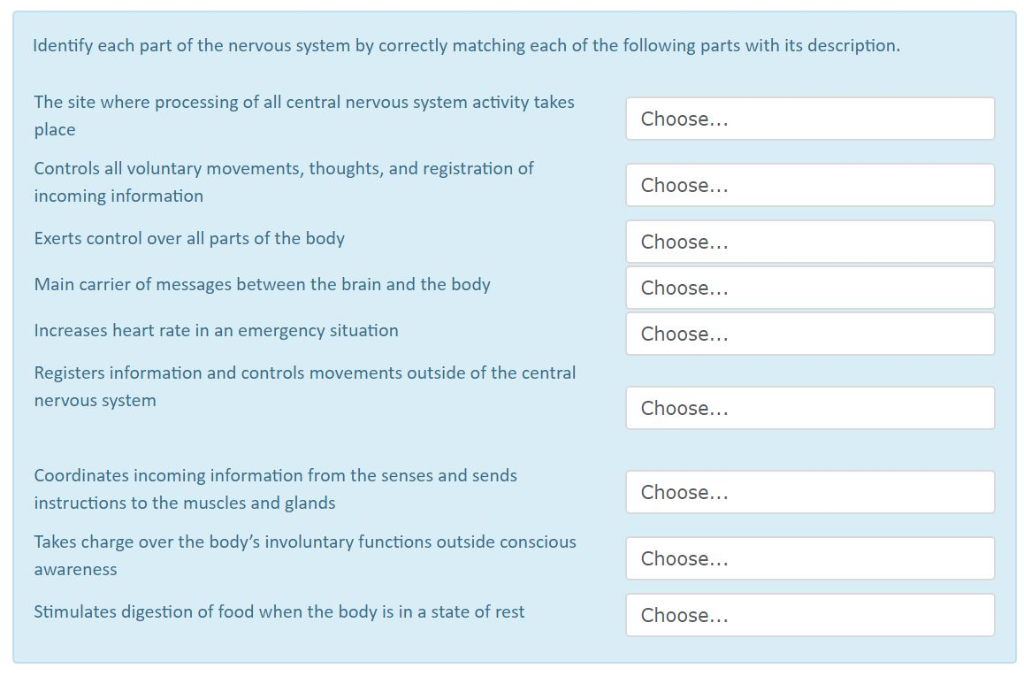 solved-identify-each-part-of-the-nervous-system-by-correctly-chegg