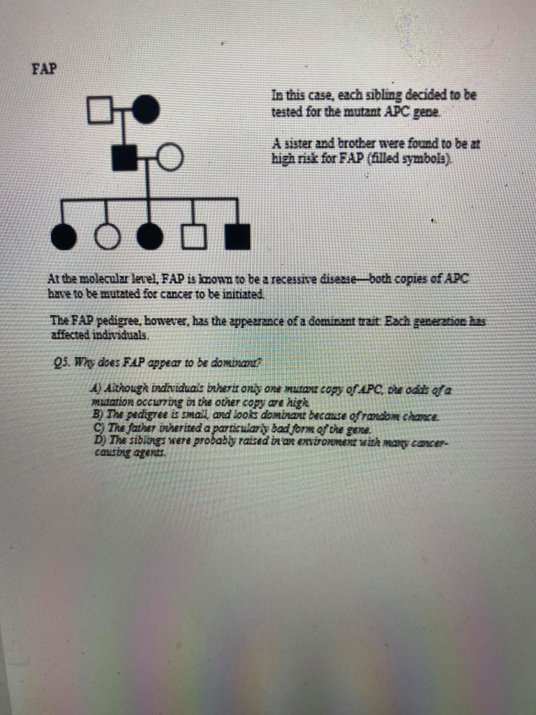 Solved Spinocerebellar Ataria (SCAI) DEX The pedigree shows | Chegg.com