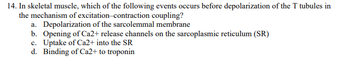 ca2  depolarization of skeletal muscle