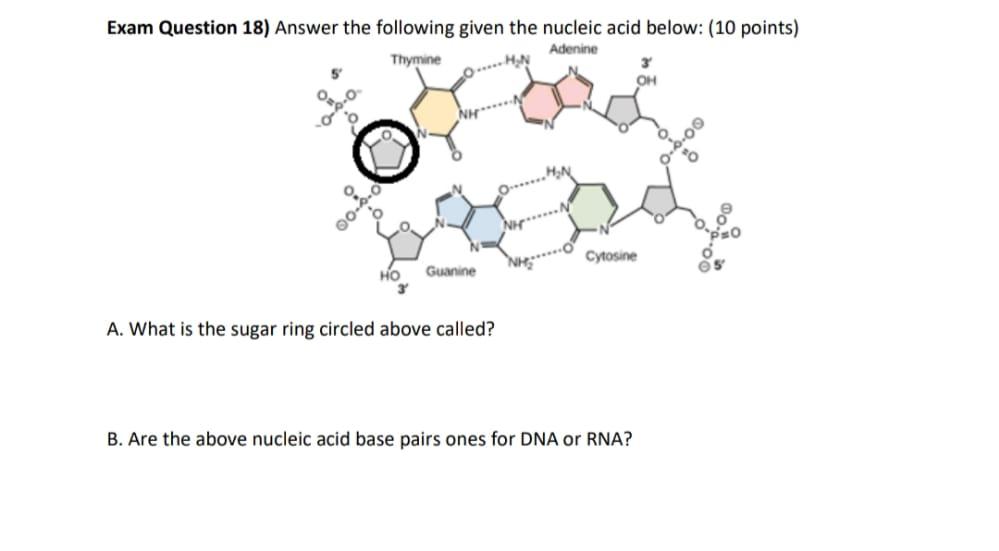 Solved Exam Question 18) Answer the following given the