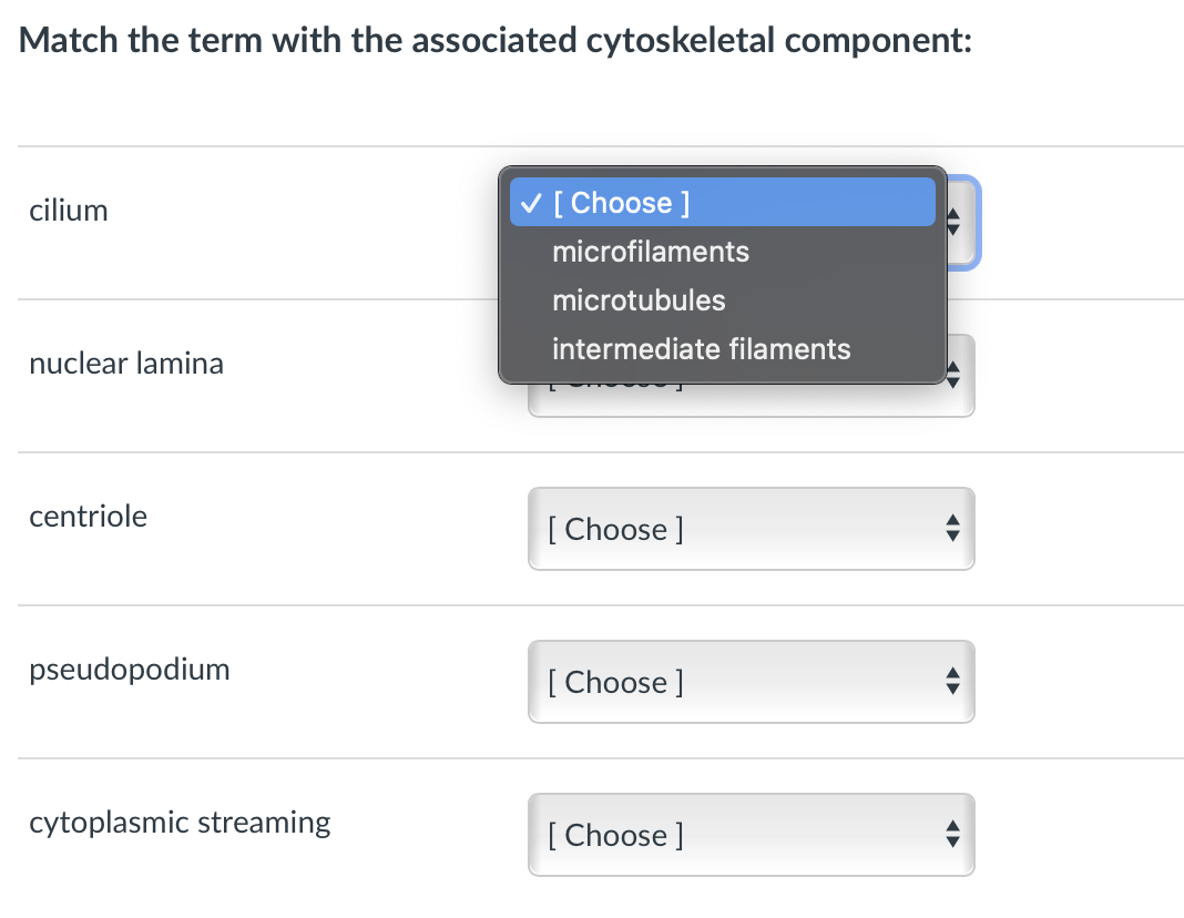 Solved Match the term with the associated cytoskeletal | Chegg.com