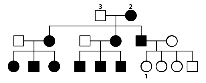 Solved Based on this pedigree chart, what is the mode of | Chegg.com