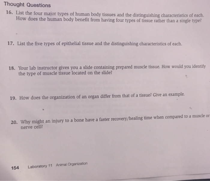 solved-thought-questions-16-list-the-four-major-types-of-chegg