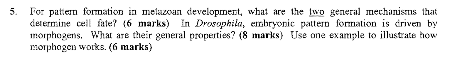 Solved 5. For pattern formation in metazoan development, | Chegg.com