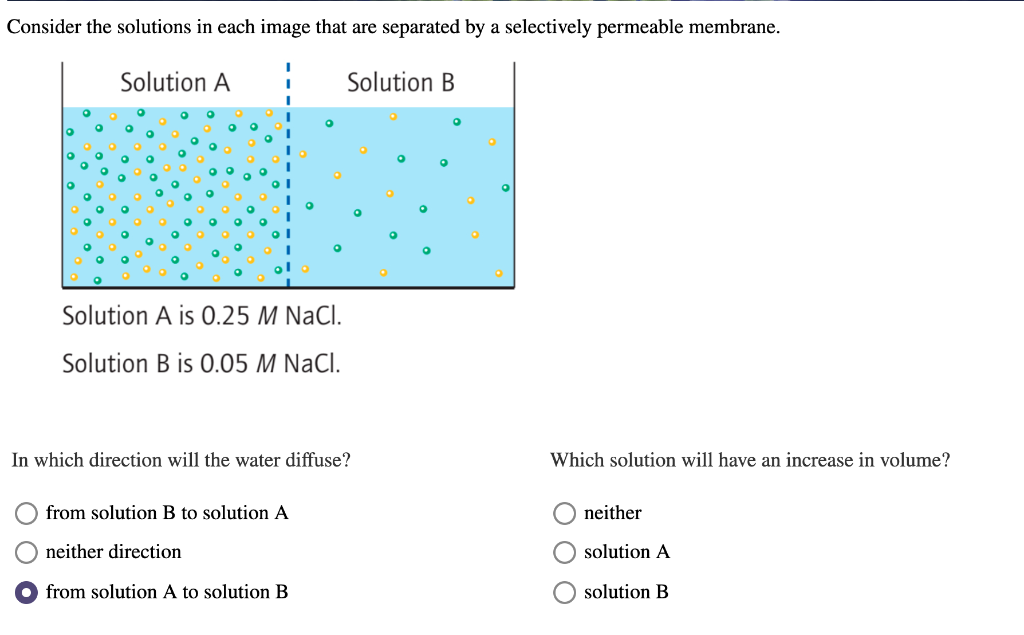 Solved Consider the solutions in each image that are