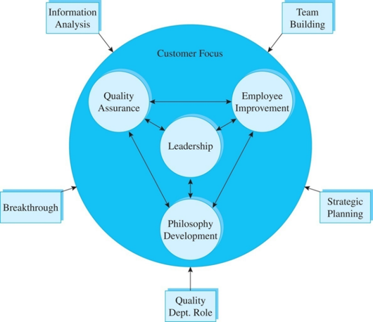 Solved Information Analysis Team Building Customer Focus | Chegg.com