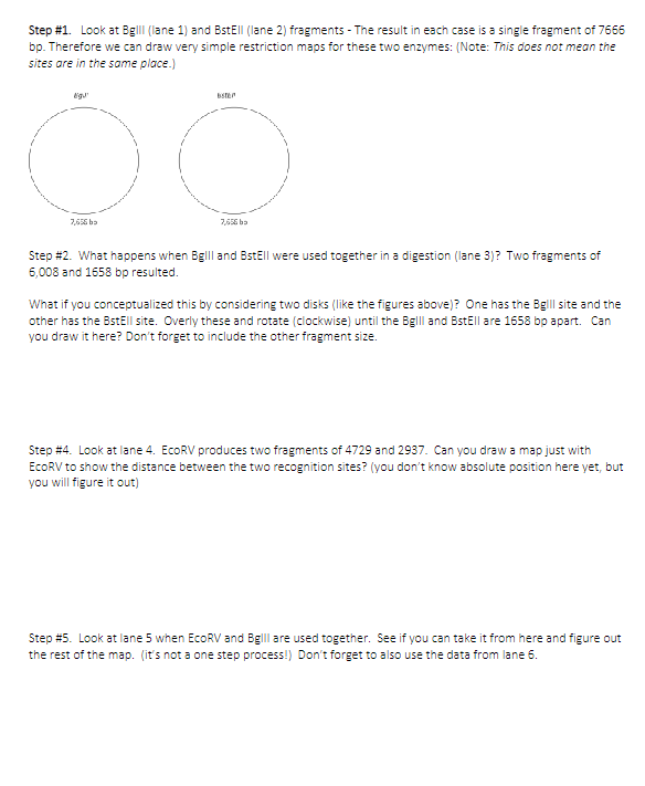 Solved Restriction Digestion Problem Solving Suppose we have | Chegg.com