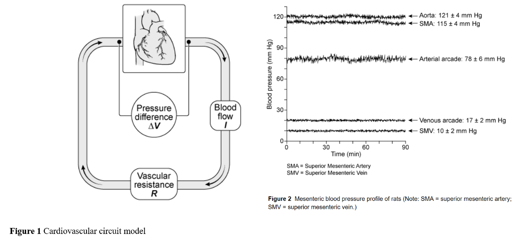 Solved In hemodynamics, blood flow through the | Chegg.com