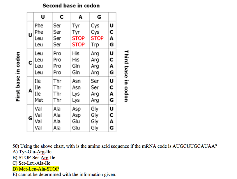 Solved Second Base In Codon Tyr Ser Ser Ser Ser Pro First Chegg Com