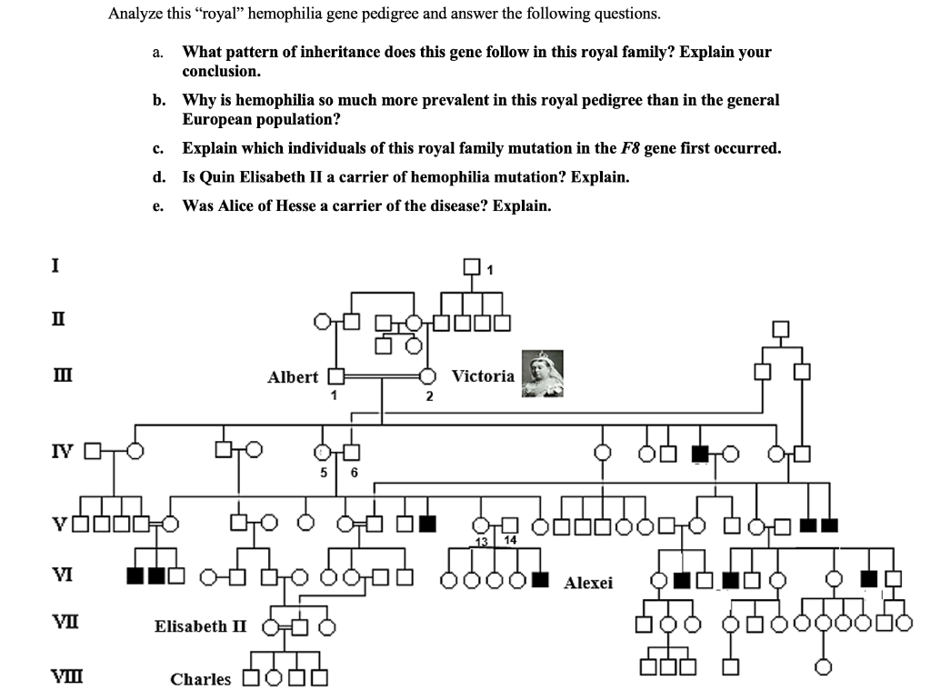 Solved Analyze this "royal" hemophilia gene pedigree and