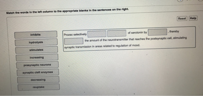 Solved Match the words in the left column to the appropriate | Chegg.com