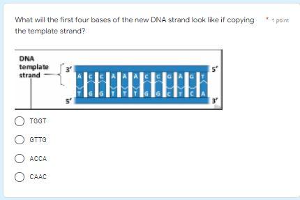 a) Optimized structure of a real human B-DNA portion LSBACK-C (2162