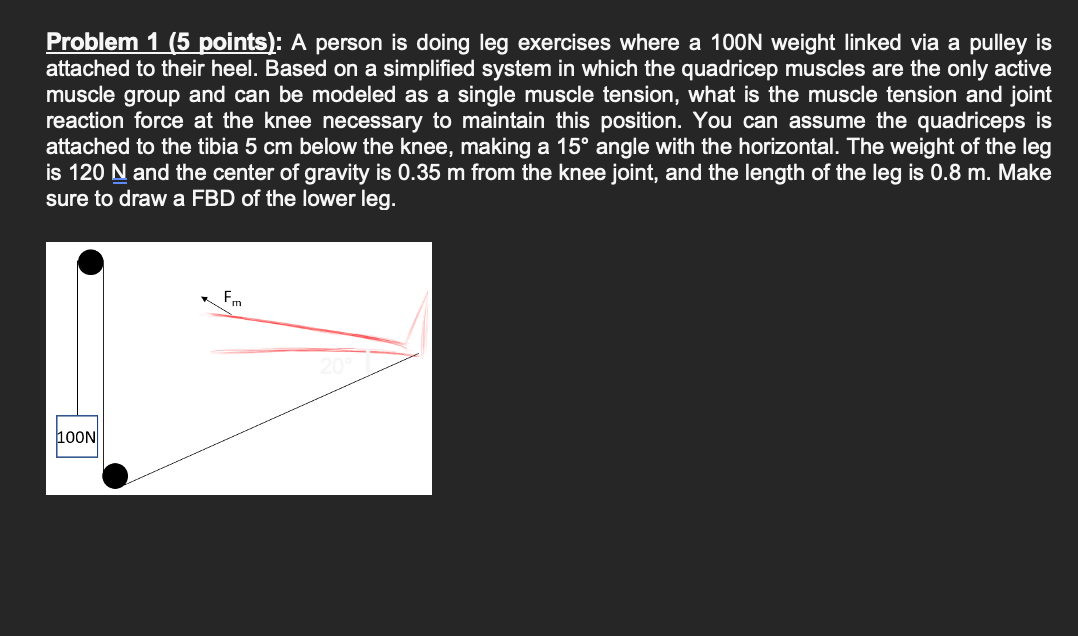 Solved Problem 1 (5 points): A person is doing leg exercises | Chegg.com