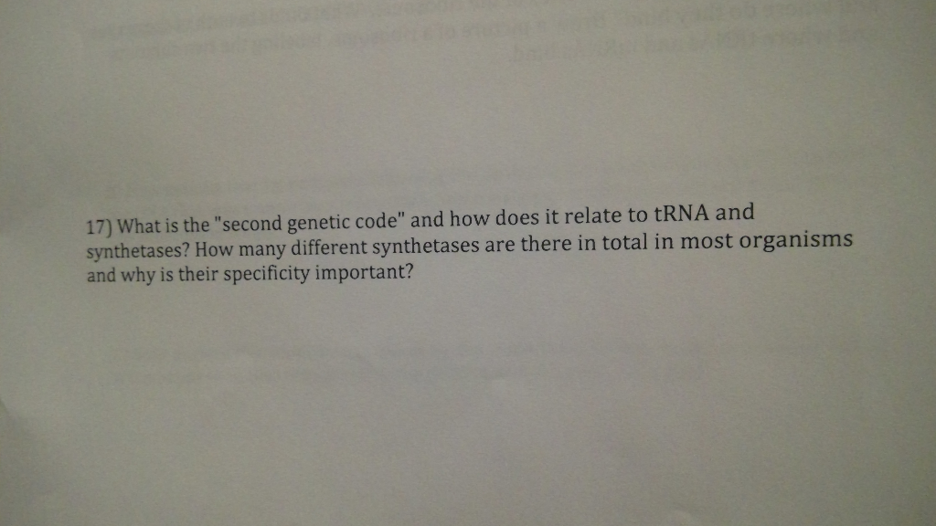 Solved 17) What is the 