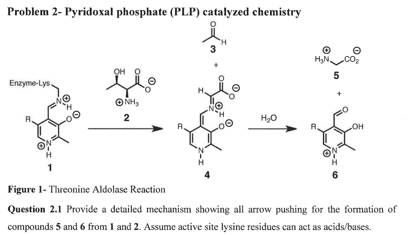 Problem 2 Pyridoxal phosphate (PLP) catalyzed