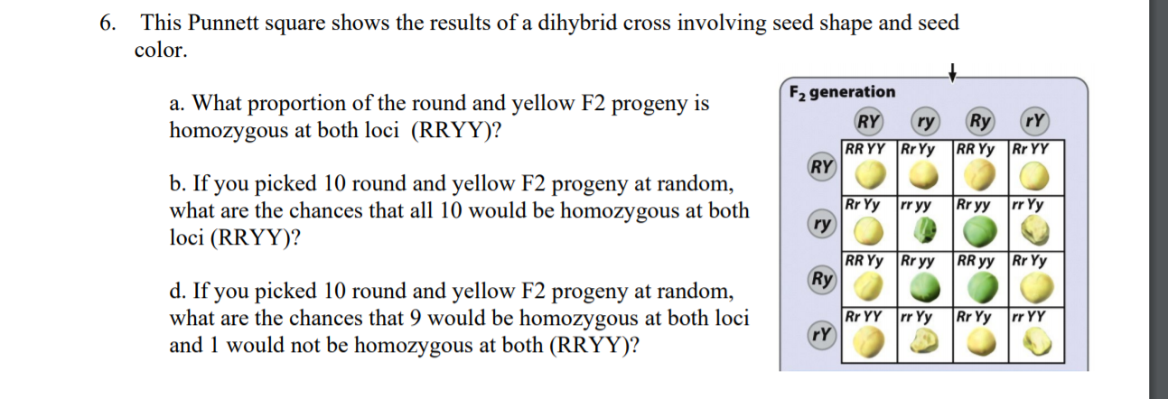 Solved 6. This Punnett square shows the results of a | Chegg.com